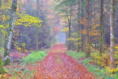 DSCF1267e01_1920