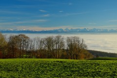 DSCF1276e01_1920